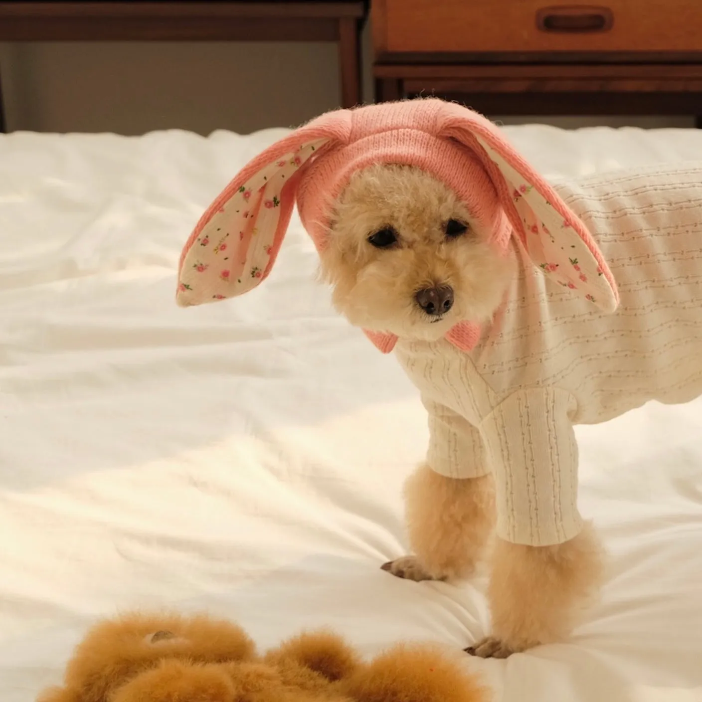 ※予約販売【FREDDIE TALE】BUNNY BALACLAVA（Pink）