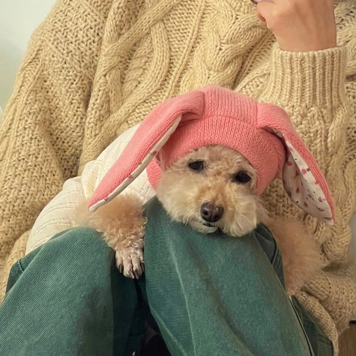 ※予約販売【FREDDIE TALE】BUNNY BALACLAVA（Pink）