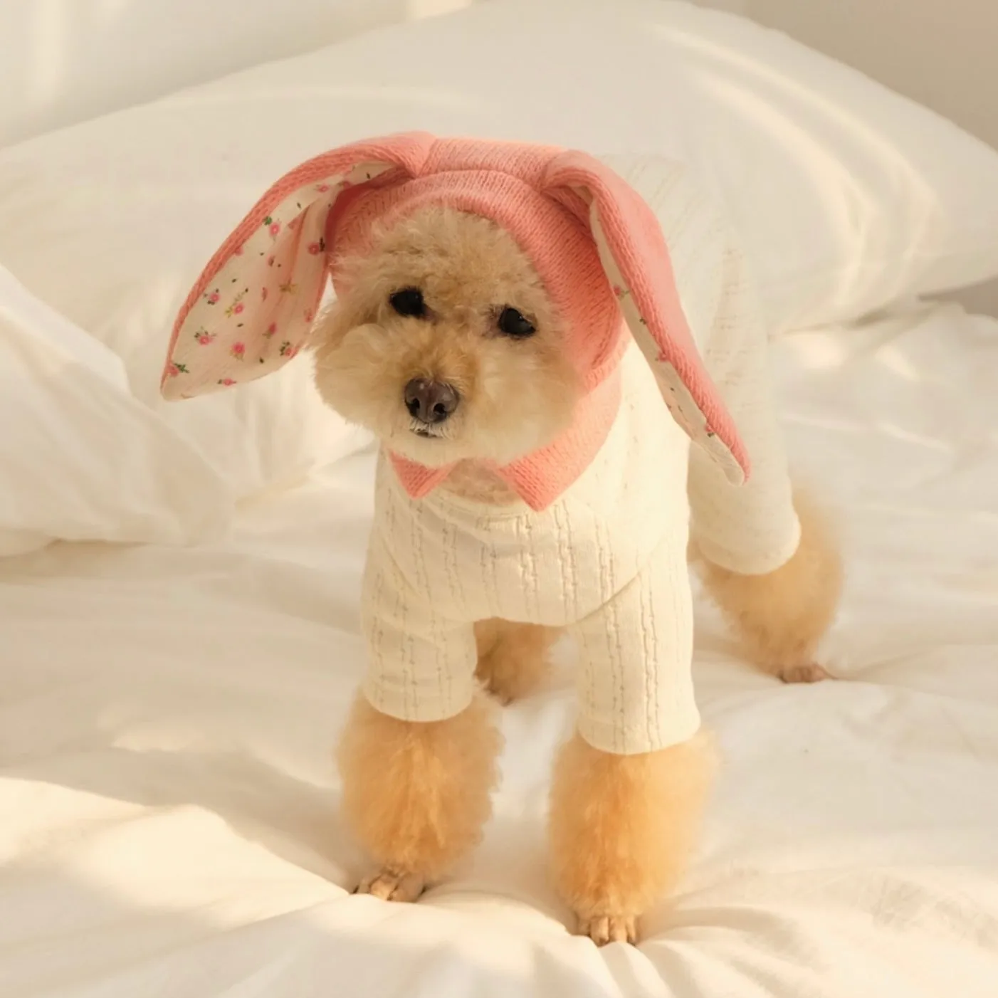 ※予約販売【FREDDIE TALE】BUNNY BALACLAVA（Pink）