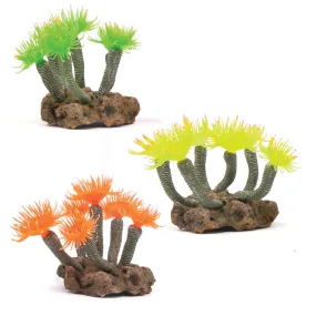 Soft Tree Coral