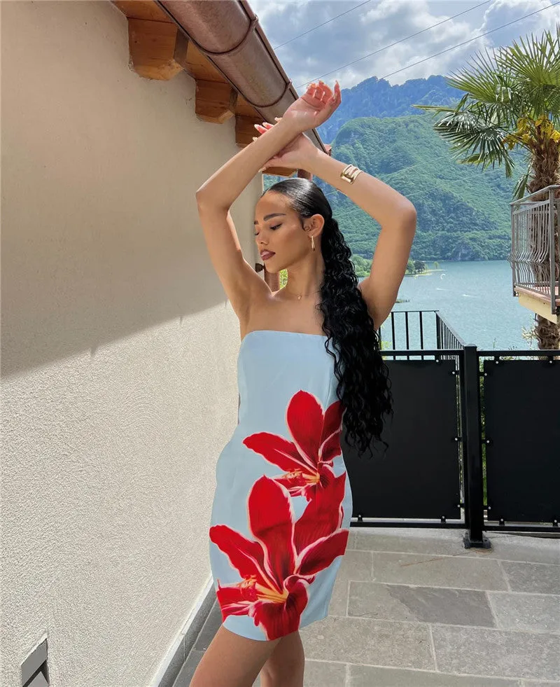 Vvsha Gracen Large Floral Mini Dress