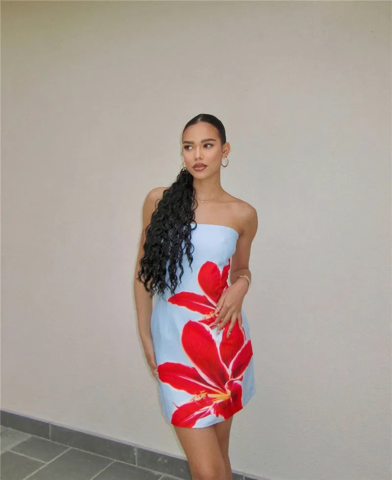 Vvsha Gracen Large Floral Mini Dress