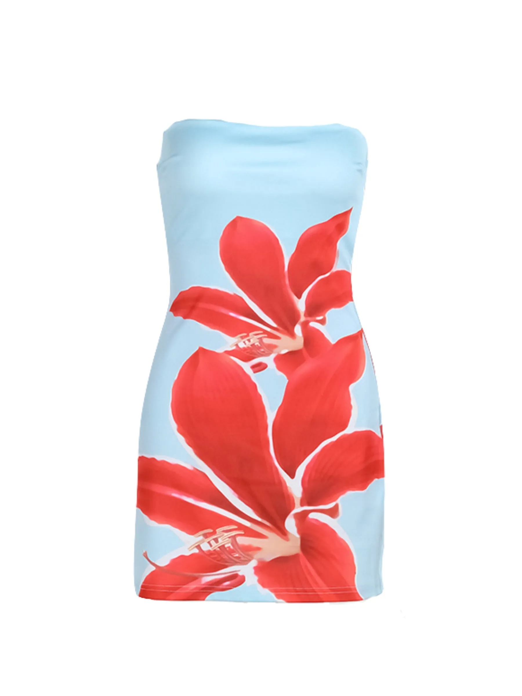 Vvsha Gracen Large Floral Mini Dress