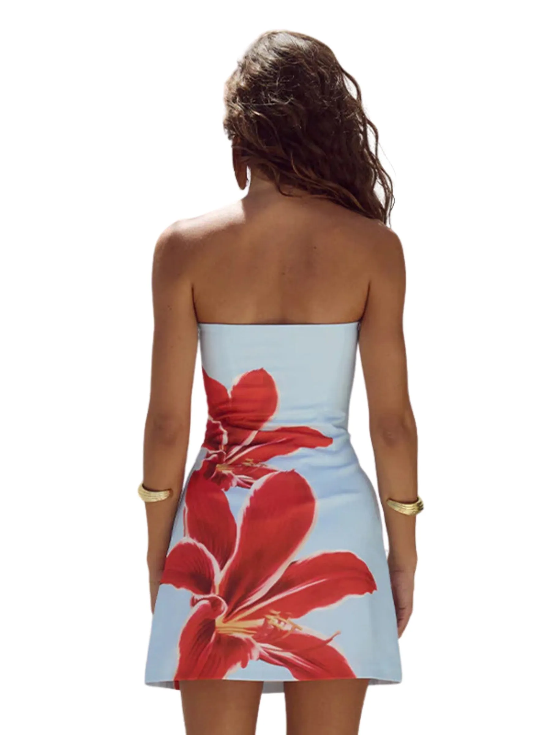 Vvsha Gracen Large Floral Mini Dress